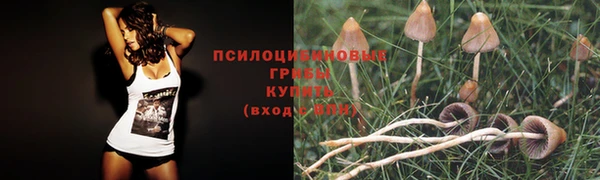 a pvp Алексеевка