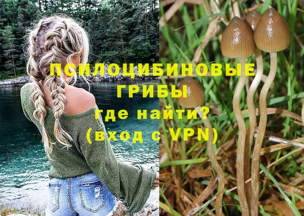 a pvp Алексеевка