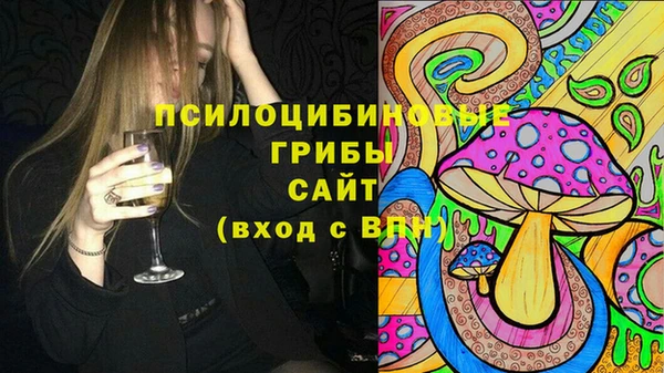 МДПВ Алексин